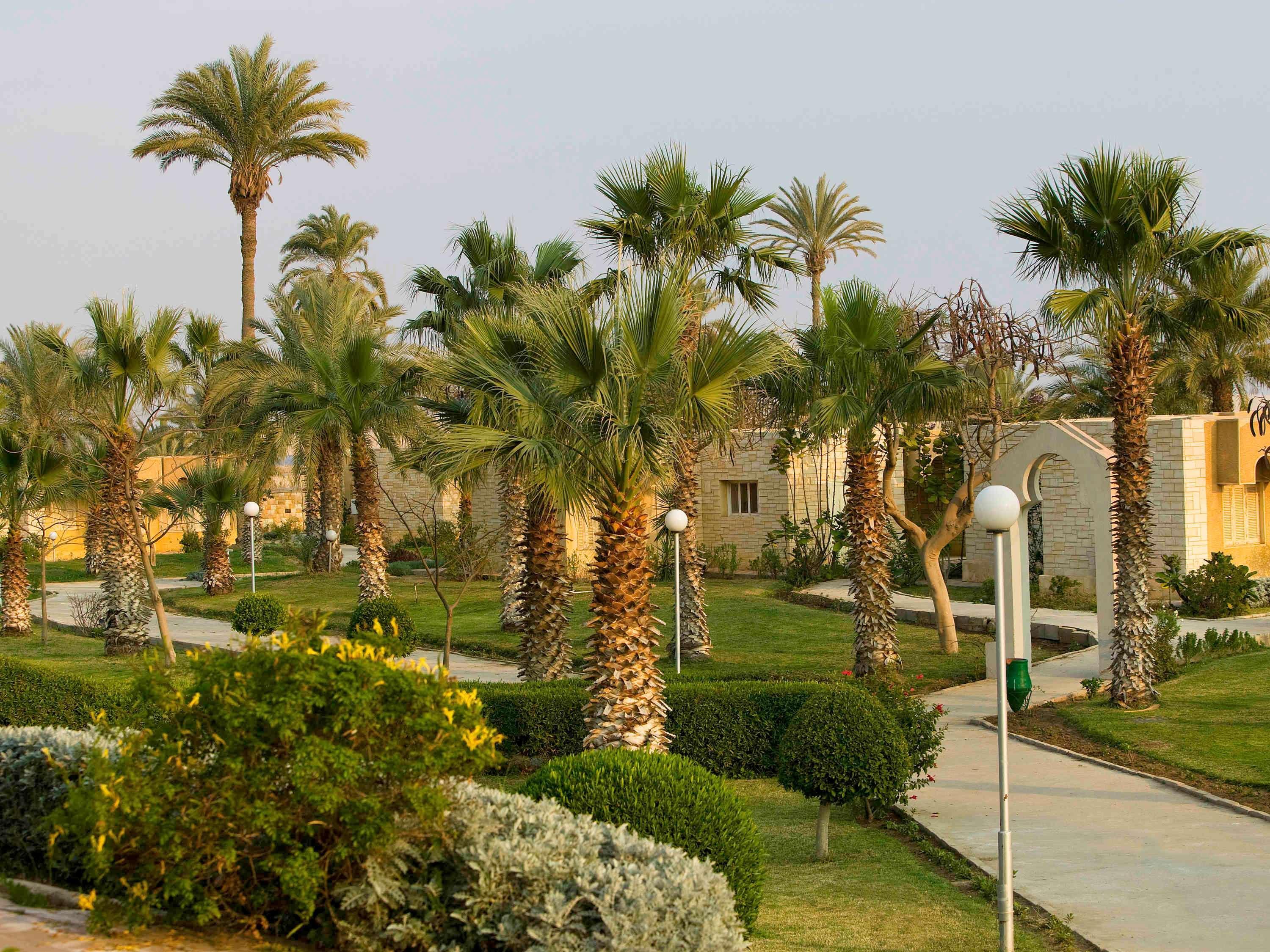 Mercure Ismailia Forsan Island Exterior photo