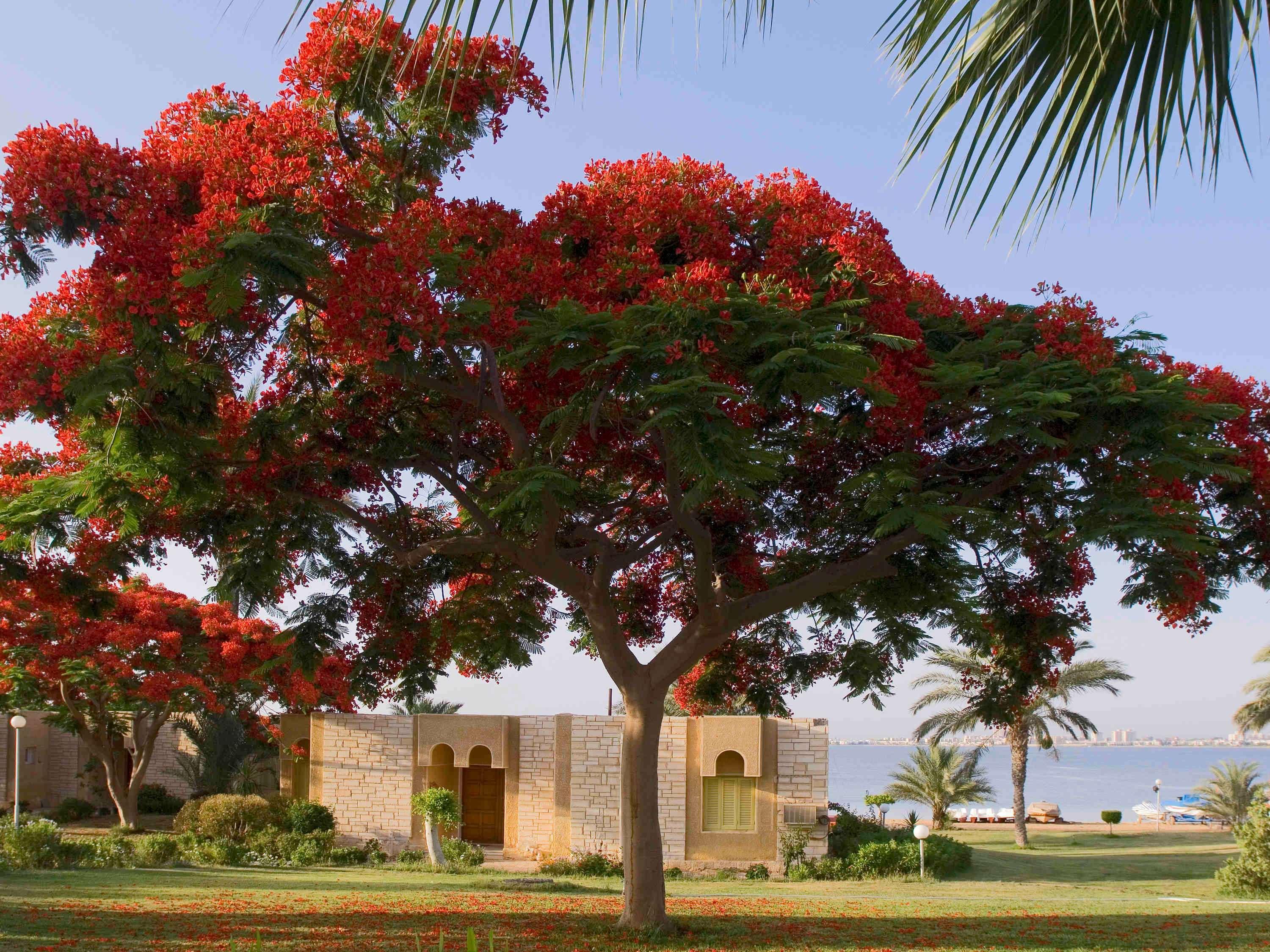 Mercure Ismailia Forsan Island Exterior photo